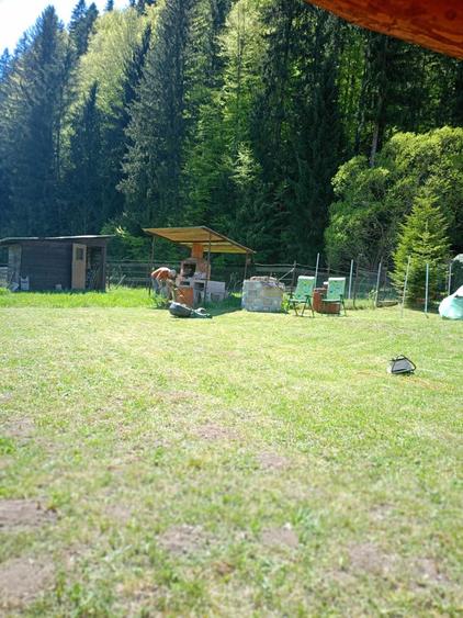 Casă cu 3 camere în Lepșa