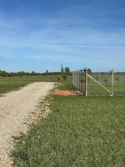 Teren Construcții intravilan de 500 mp, în Nojorid
