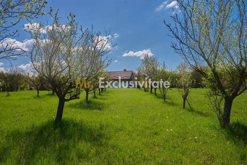 Casă cu 4 camere cu Teren 9915 Mp în Central