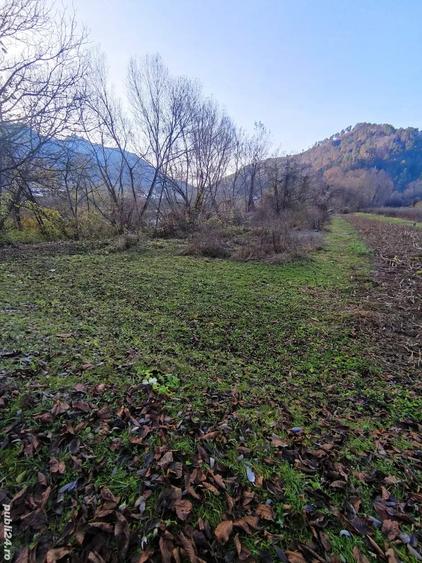 Teren în Văratica