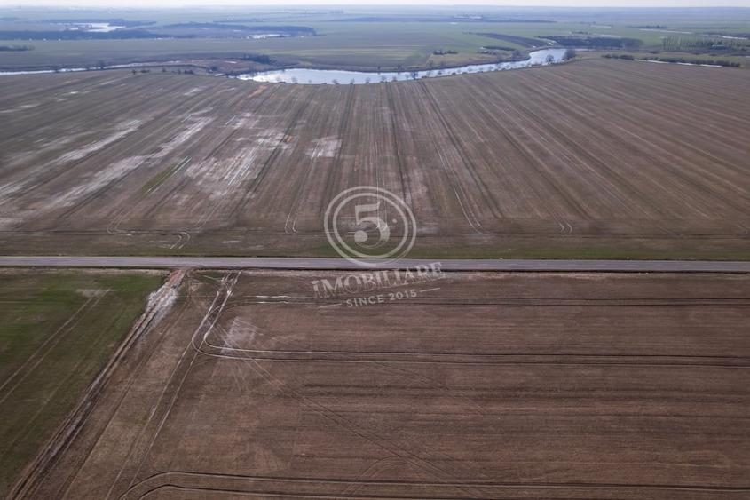 Teren Construcții intravilan de 17500 mp, în Frumușani