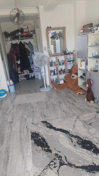 Apartament cu 2 camere decomandat în Feneș