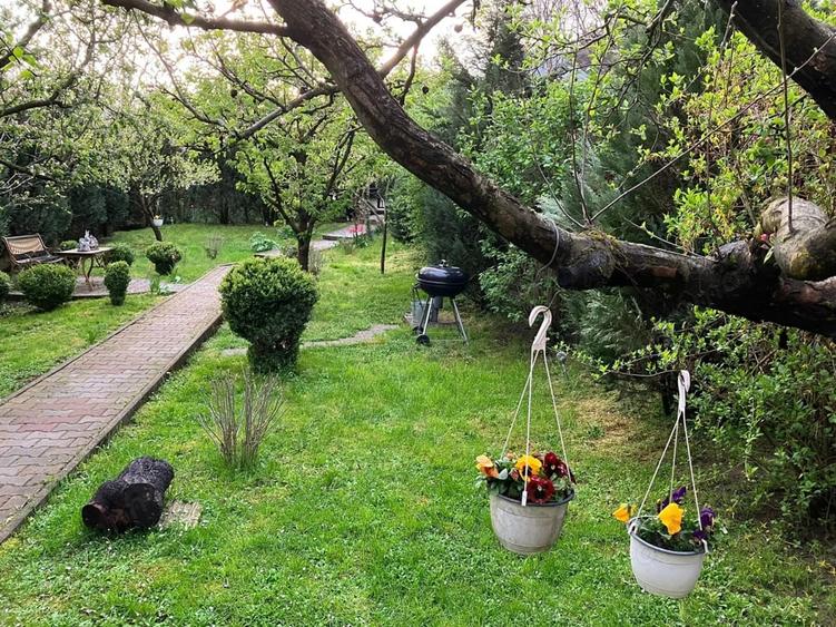 Casă cu 2 camere cu Teren 315 Mp în Tudor