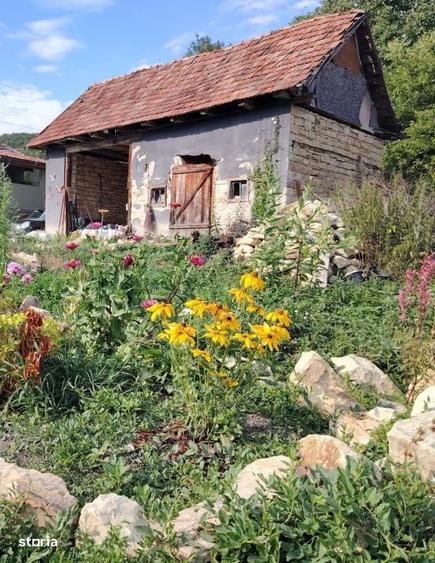 Casă cu 2 camere în Bădești
