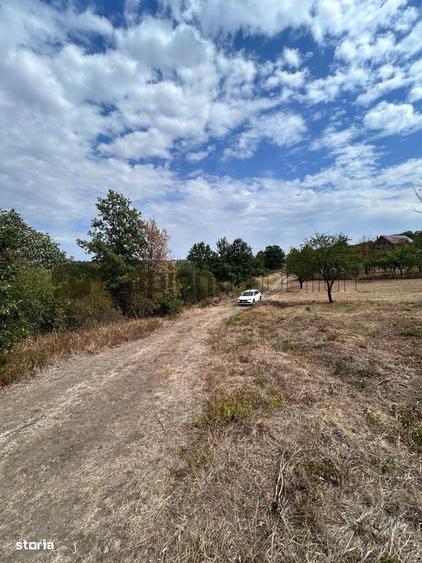 Sapient | Teren extravilan in Saldabagiu de Munte 4.316 mp - 6