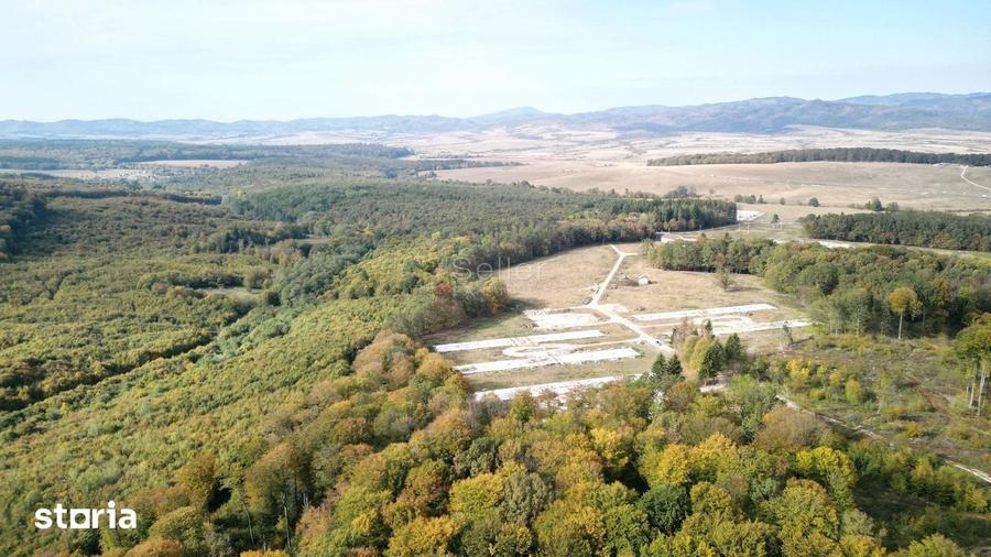 Teren de 186000 mp, în Dumbrăvița