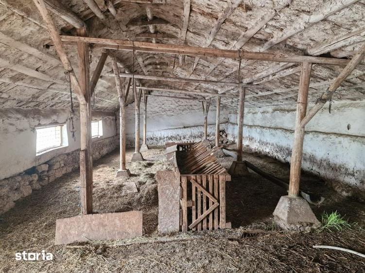 Teren de 1600 mp, în Rasova