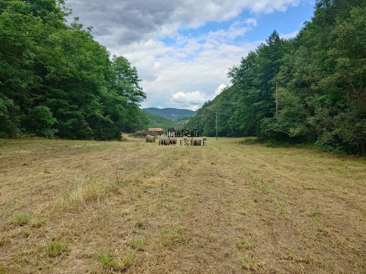 Teren de 5800 mp, în Podele