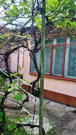 Casă individuală cu 3 camere cu Canalizare în Micro 5