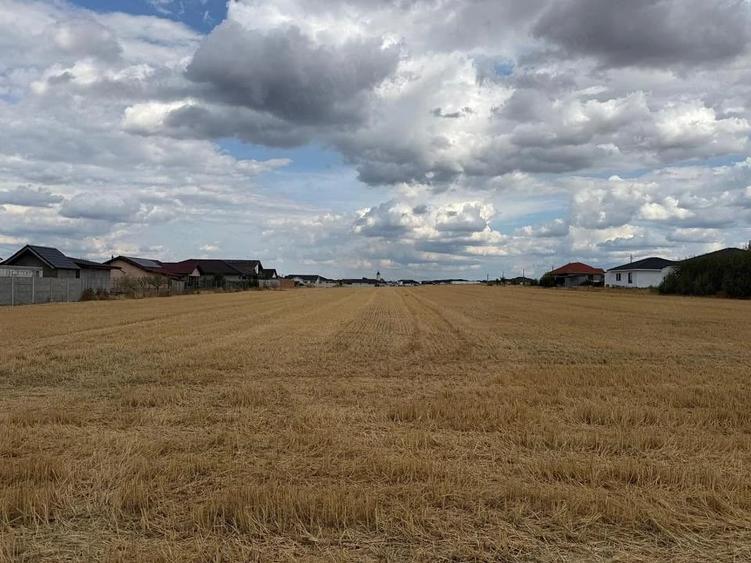 Teren de 10000 mp, în Sântandrei