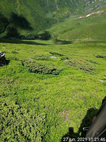Teren de 185000 mp, în Padeș
