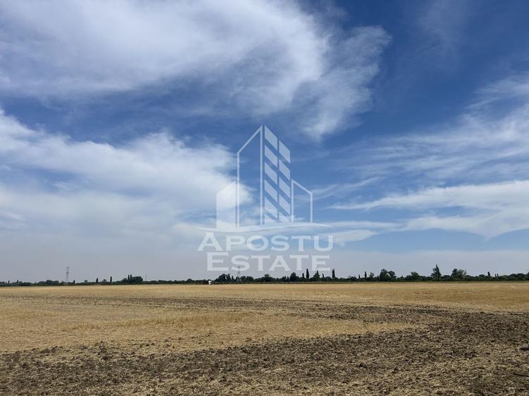 Teren Construcții intravilan de 20600 mp, în Sânmihaiu Român