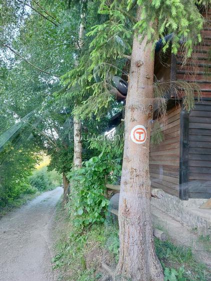 Teren intravilan 3.000 mp Bran Predelut | Via Transilvanica | Vedere Bucegi & Piatra Craiului | Autorizatie