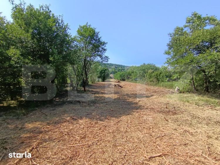 Casă cu 2 camere cu Teren 3350 Mp în Meseșenii de Jos
