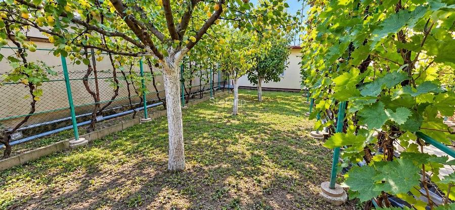 CASA INDIVIDUALA cu teren 430 MP, Zona Plopi