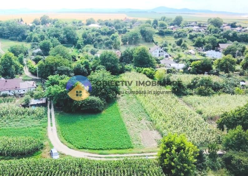 Teren intravilan de 4133 mp, în Boțești