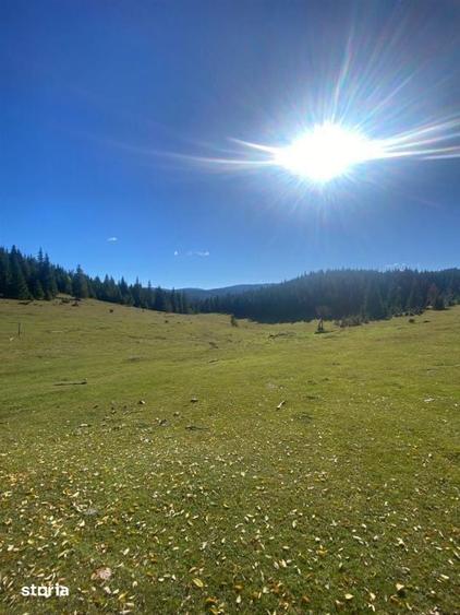 Teren extravilan la Poiana Horea - Belis - 16.000 mp - 5