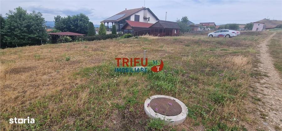 Spațiu comercial, în Șeușa