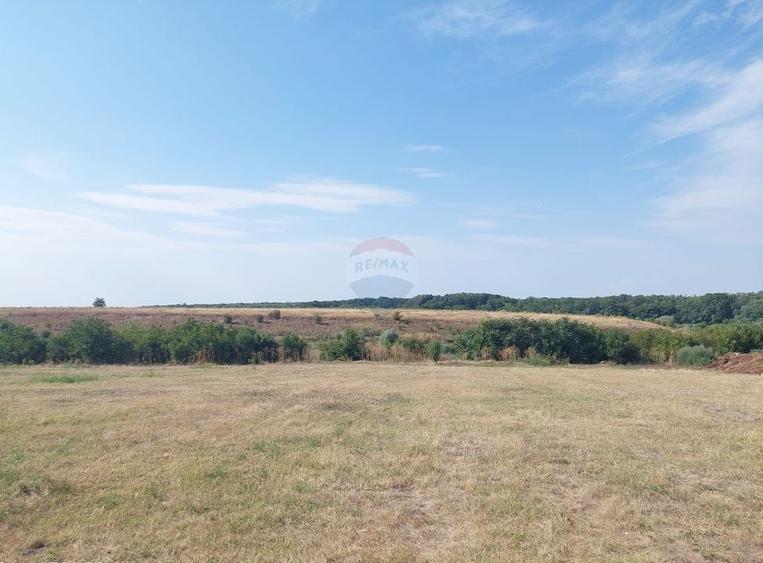 Teren Construcții intravilan de 2136 mp, în Grădiștea
