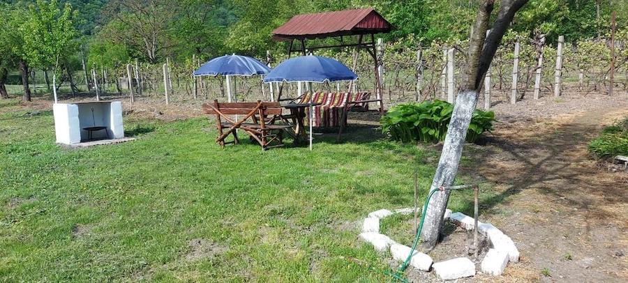 Casă cu Teren 1400 Mp în Mehadia