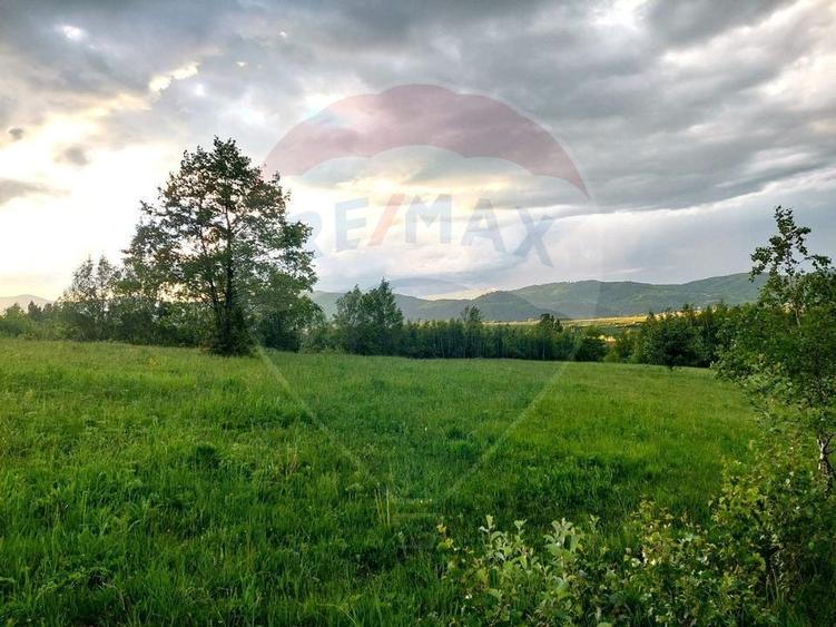 Teren Construcții intravilan de 4223 mp, în Tohănița