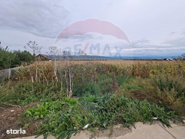 Teren de 5000 mp, în Central