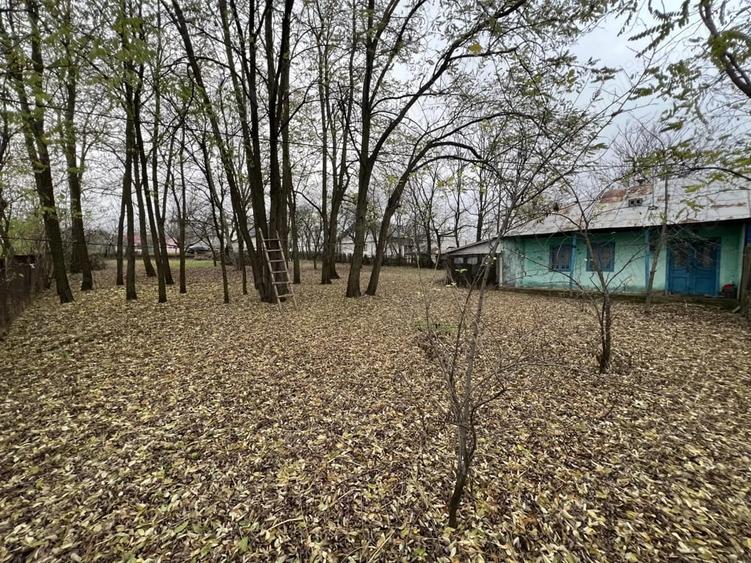 Teren de 1270 mp, în Sărata