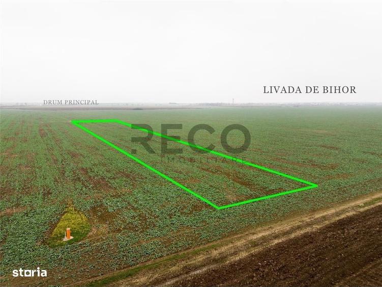 Spațiu comercial, în Livada de Bihor