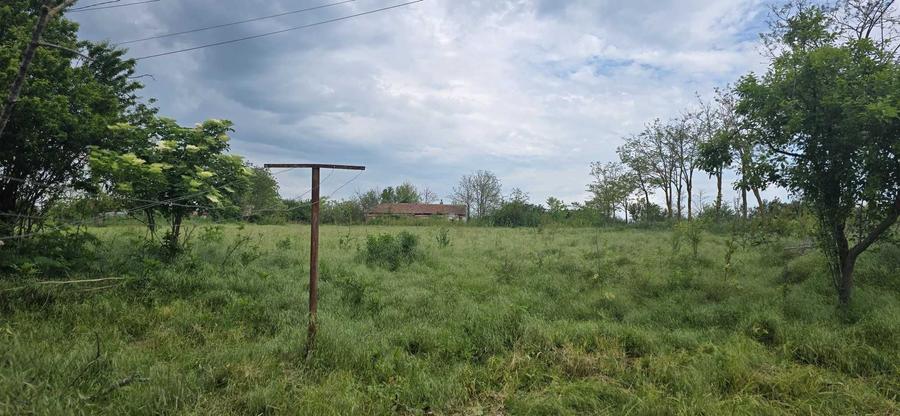 Casă cu 4 camere în Cotu Văii