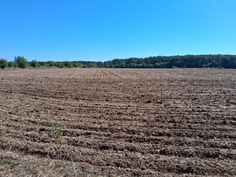 Teren Construcții intravilan de 4998 mp, în Gorgota