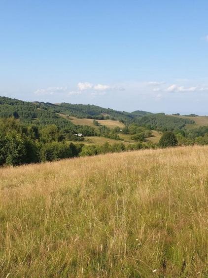 Teren agricol extravilan de 36000 mp, în Tilișca