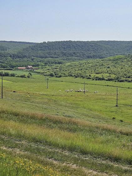 Teren de 7200 mp, în Crețești