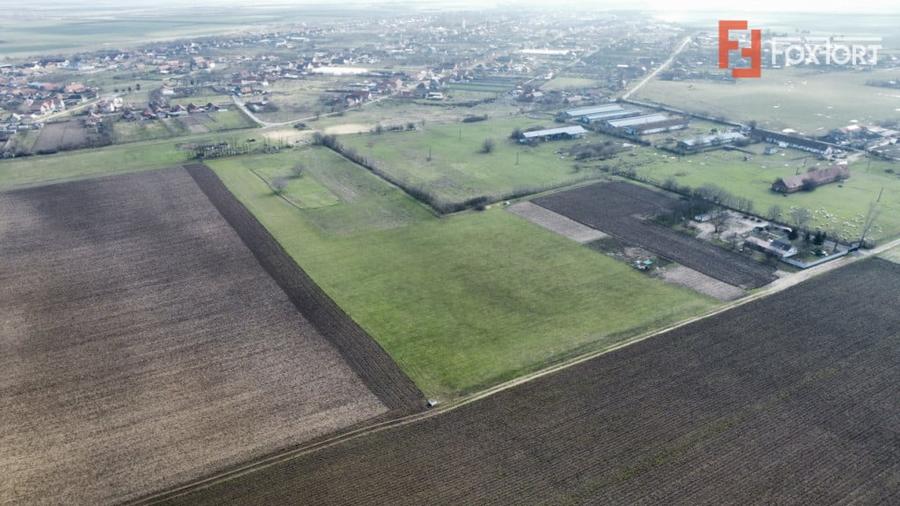 Teren de 20000 mp, în Pădureni