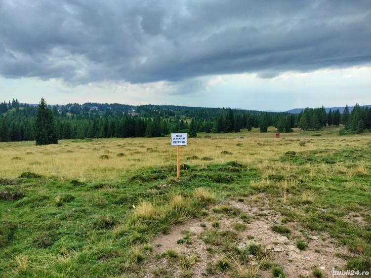Teren de 1000 mp, în Beliș