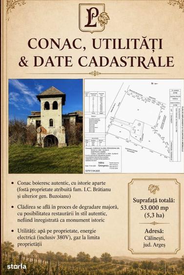 Teren de 53.000 mp cu vita de vie + Conac boieresc - 2