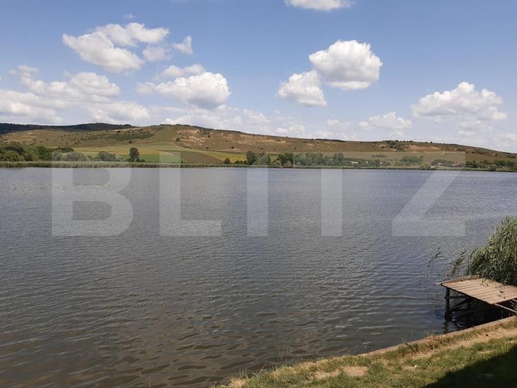 Oportunitate investițională-Proprietate cu lac privat in Geaca - 3