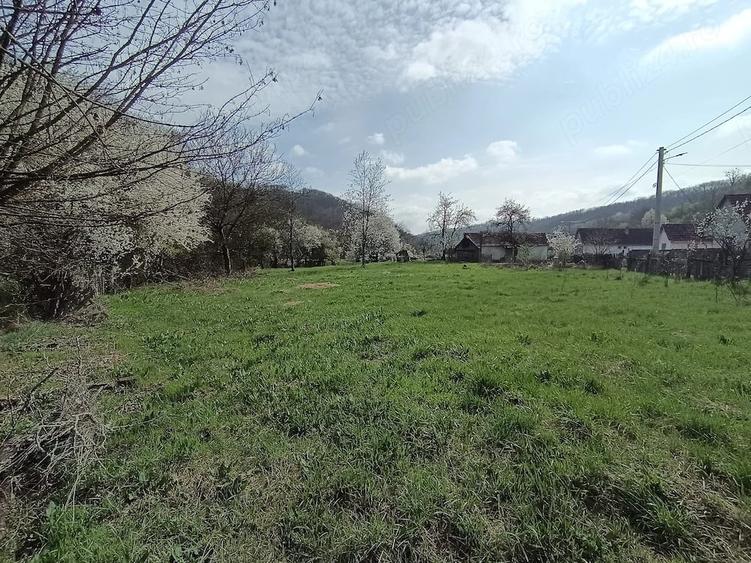 Teren de 1563 mp, în Central