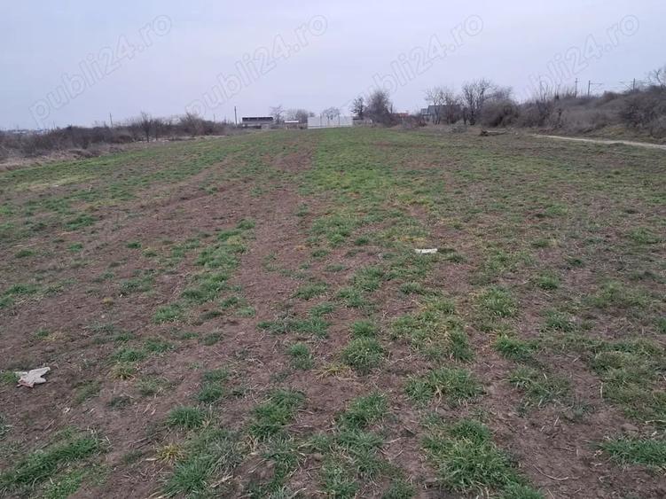 Vand trei loturi de teren Branistea, Galati 756 m2 fiecare, intravilan - 2