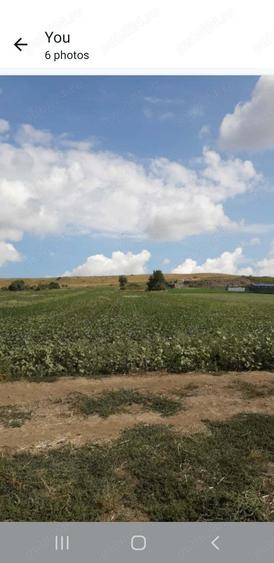 Teren de 21000 mp, în Central