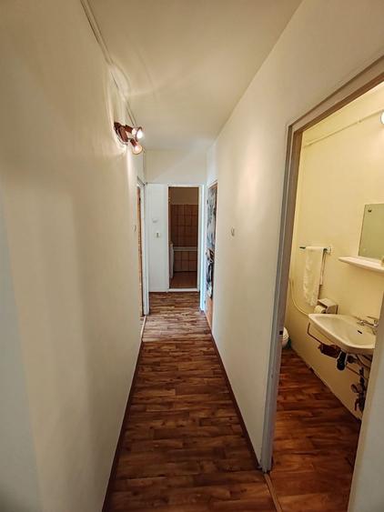 Apartament cu 3 camere decomandat în Camil Ressu