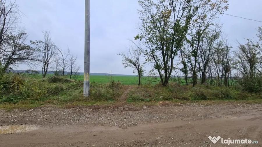 Teren de 3000 mp, în Brănești
