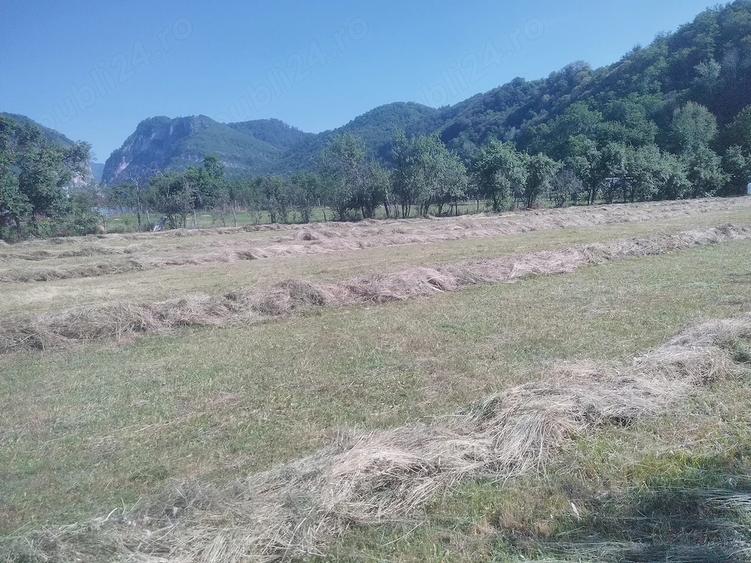 Teren de 6800 mp, în Polovragi