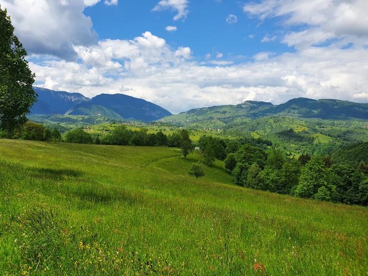 Teren Construcții intravilan de 38000 mp, în Moieciu