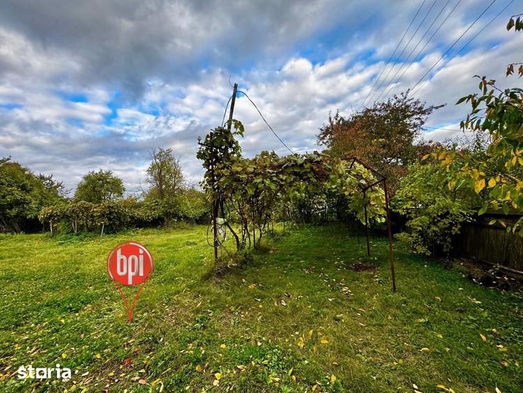 Teren de 4300 mp, în Brusturi