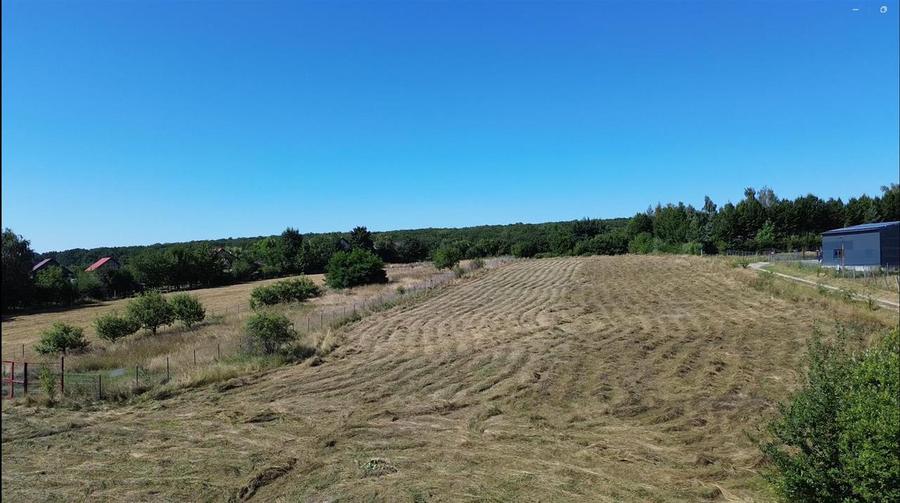 Teren Construcții intravilan de 6200 mp, în Mitocu Dragomirnei