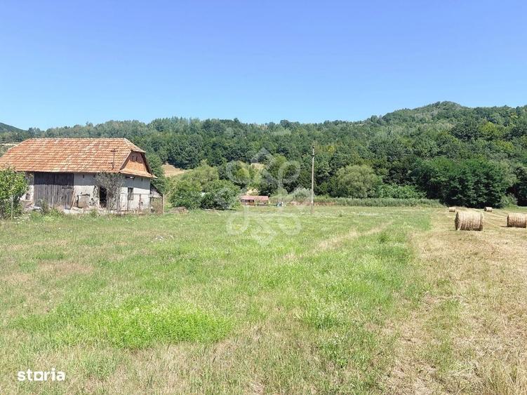 Teren intravilan de vanzare, 3573 mp, Negreni, judetul Cluj - 1