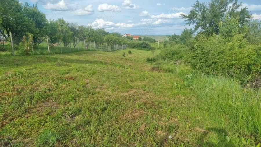 Teren de 1000 mp, în Daia