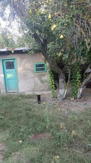 Casă cu 5 camere în Clejani