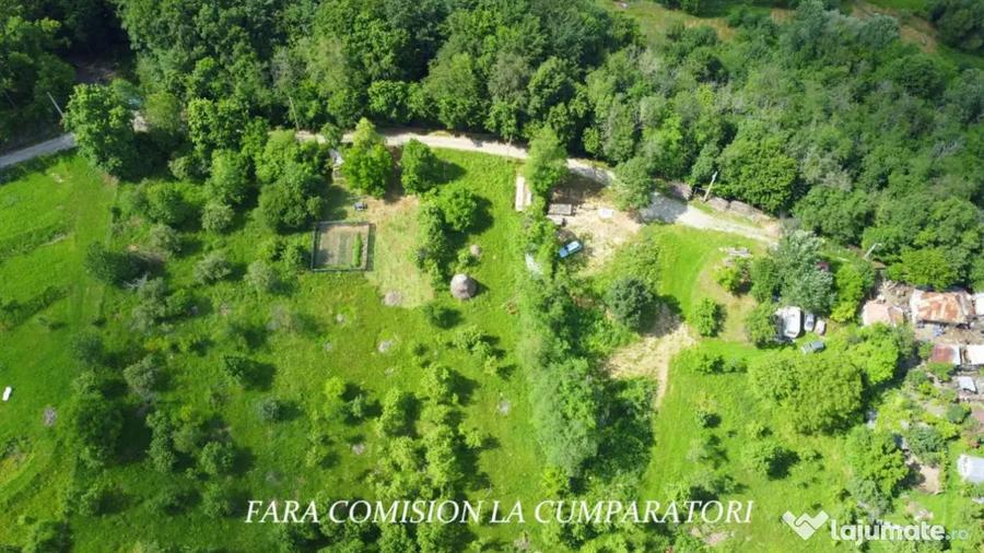 DEALUL MALULUI TEREN 1500 MP INCONJURAT DE PADURE - Ramnicu Valcea (Valcea) - 9