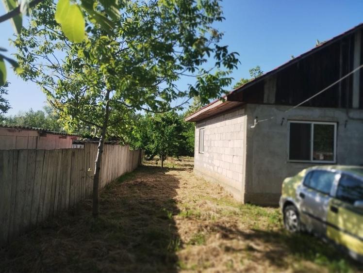 Casă cu 3 camere în Prisăcani